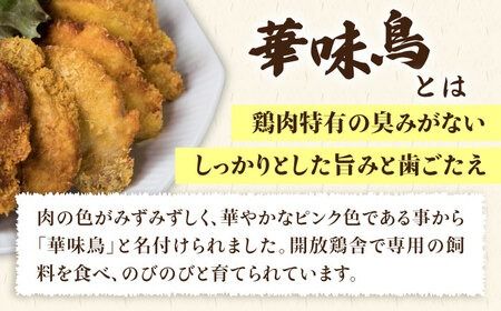 【全6回定期便】糸島 華味鳥 チキン カツ 糸島 華豚 ヒレカツ セット (1回あたり38枚) 糸島市 /糸島ミートデリ工房 [ACA342]