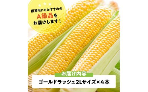 【令和8年発送】宮崎県産とうもろこし　スイートコーン「ゴールドラッシュ」2L×4本【新鮮 農家直送 トウモロコシ 産地直送 季節限定 期間限定 宮崎県産 九州産】 [C09106]