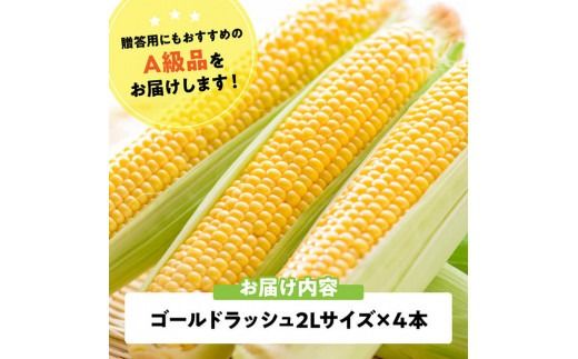 【令和7年発送】宮崎県産とうもろこし　スイートコーン「ゴールドラッシュ」2L×4本【新鮮 農家直送 トウモロコシ 産地直送 季節限定 期間限定 宮崎県産 九州産】 [D09106]