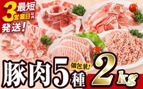 ＼3営業日以内発送／＜1回配送＞ 豚肉 バラエティーパック (合計2kg) 豚バラ しゃぶしゃぶ 鍋 とんかつ ロース 小分け 個包装 豚こま 小間切れ スライス ミンチ 5種 セット 詰め合わせ 冷凍 食べ比べ 国産 大分県 佐伯市【BD320】【西日本畜産】