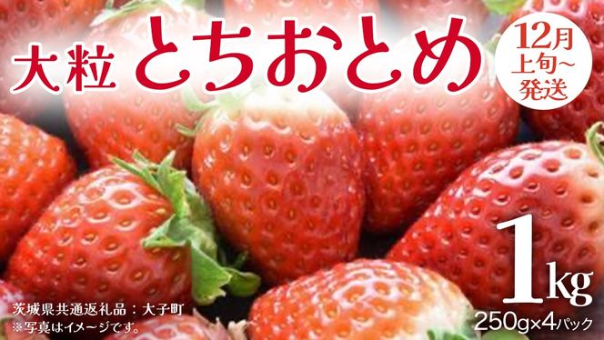 y錧vszƂƂ 嗱 250gi8`12j×4pbNy2025N12{Jnz(錧ʕԗiFq)   ʕ t[c ʎ