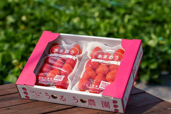 特別栽培あまおうDX2パック【うるう農園】_HA1965