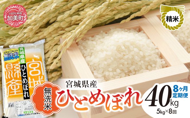 y{錧zy8ցzR7 {錧Y ЂƂ߂ڂ  5kg×8 [ {錧   ]   R  sw-hb05-mu-t8-r7