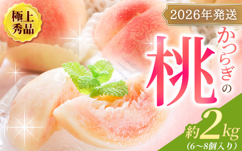 [先行予約][厳選]あふれる果汁で口いっぱい! 和歌山県産 桃 約2kg(6個~9個) 2026年6月末頃〜2026年8月末頃に順次発送予定(お届け日指定不可)/ 和歌山 桃 モモ フルーツ もも 白