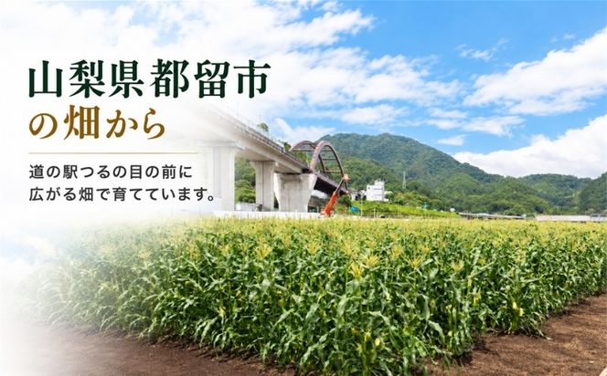 【ふるさと納税】	【2027年 先行予約】もぎたて発送！山梨県産 ヤングコーン 30本【栄養たっぷりヒゲ付き！】｜朝採れ もぎたて発送 ヒゲ付き 甘い 国産 とうもろこし トウモロコシ 野菜 産地直送 送料無料【炭香ファーム】FC004