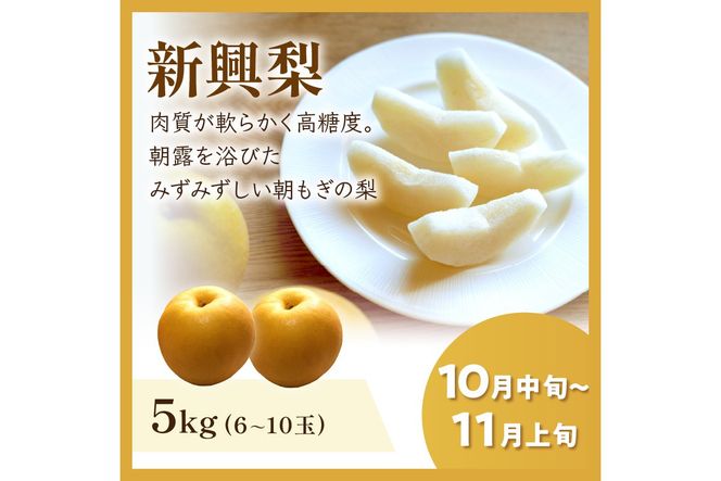 JA京都がおすすめする京丹後フルーツ定期便～琴引コース～（2026年6月中旬～発送）  京のブランド産品 メロン めろん 梨 なし ナシ スイカ 西瓜 すいか 国産 砂丘 甘い 高糖度 高級 期間限定 ふるさと納税 フルーツ 先行予約 お取り寄せ 農協　JK00040