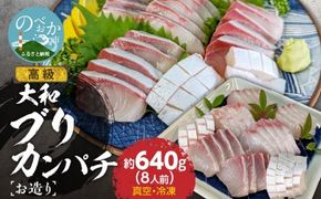 高級 大和ブリ 大和カンパチ お造り 計8人前 計640g 真空 冷凍　N072-YA667