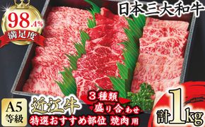 A5等級　未経産雌　特選近江牛おすすめ部位　焼肉3種盛り合わせ合計1kg【FO07W】（国産牛　和牛　ブランド牛　ブランド和牛　黒毛和牛　牛肉　肉　高級　人気　おすすめ　神戸牛　松阪牛 に並ぶ 日本三大和牛 近江牛）