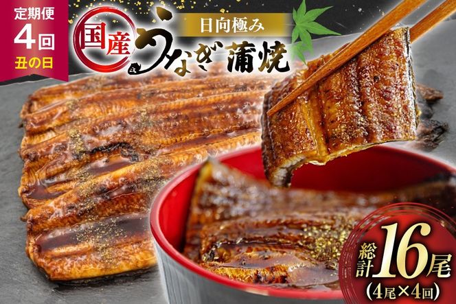 y{茧szȂ Y y N̓ G߂̒ z ɂ Ȃ 4 v480g [Tp[N {茧 s 452061506] Mtg  ^pbN V EiM Ȃ̊  Ă