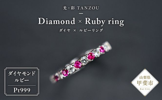 yRbszuꐶ́v_C×r[O@Pt999@AD-210