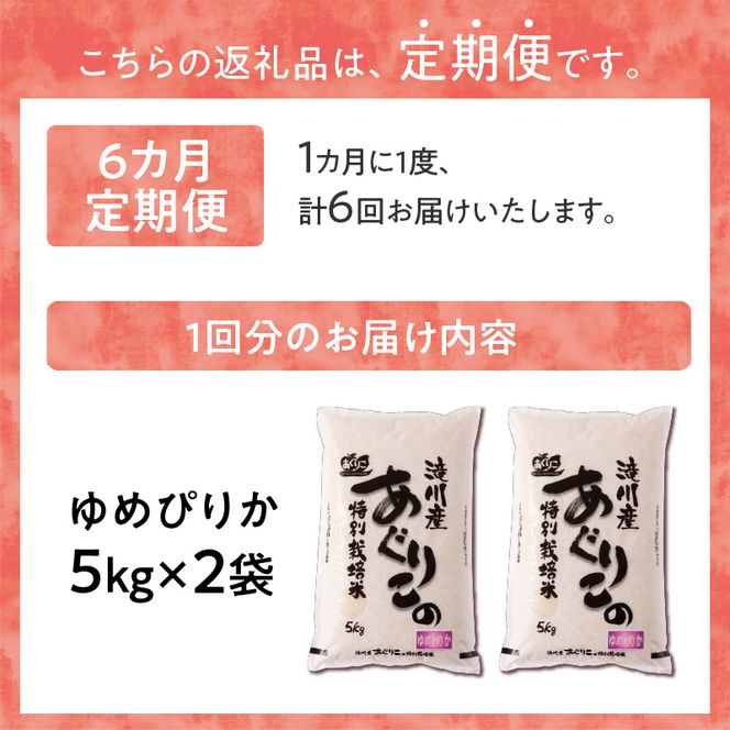 《令和7年産》特別栽培米ゆめぴりか 10kg×6ヵ月定期便 | 16年連続特A ブランド米 白米 精米 米 お米 こめ 減農薬 単一原料米 ご飯 北海道米 北海道 滝川市