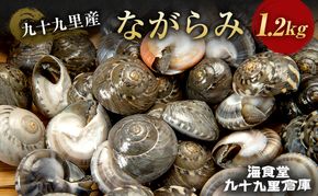 ながらみ　1.2キロ 魚介類 貝類 貝 海の幸 海鮮 幻の貝 冷凍 おつまみ 国産 名産物 九十九里 千葉県