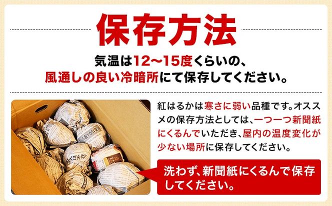 【先行予約】タカハマ観光農園 の 紅はるか 選べる 約3kg or 約5kg Sサイズ《1月上旬-5月末頃出荷》熊本県 大津町 さつまいも さつま芋 芋 スイートポテト 干し芋 焼き芋---oz_thm_12_3kg---