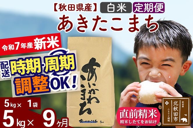 ※令和7年産 新米※《定期便9ヶ月》秋田県産 あきたこまち 5kg【白米】(5kg小分け袋) 2025年産 お届け時期選べる お届け周期調整可能 隔月に調整OK お米 藤岡農産|foap-10309