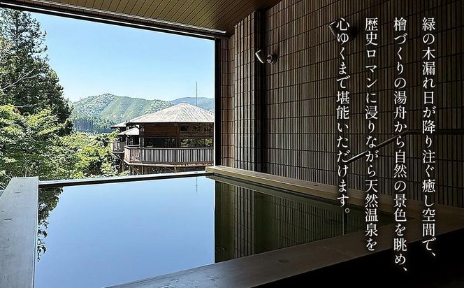 歴史ロマンの湯 しみず温泉 大人 入館券 11回分 入浴チケット 温泉利用券 観光 日帰り