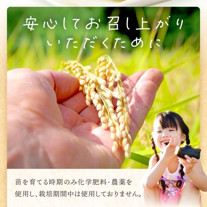 【令和7年産 2025年11月より順次発送】はしもとさんちのお米(5kg)《 お米 米 ヒノヒカリ 精米 お米5kg お米5キロ ごはん ご飯 》【2501B14301】