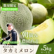 【2026年発送 先行予約】生産農家応援・もぎたて直送 タカミメロン 5kg程度（メロン フルーツ 果物 くだもの 先行受付 2026 宮崎）