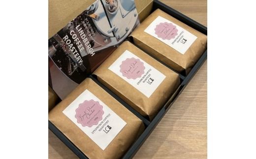 自家焙煎コーヒー豆【粉】LC7-2　店主のおすすめコーヒーセット　200g×3種　LINDBERGH COFFEE ROASTERY　1105014