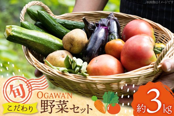 �y��ʌ����쒬�z��� �l�ߍ��킹 ��3kg OGAWA'N [JA��ʒ��� ��ʌ� ���쒬 135] �₳�� �Z�b�g ��؃Z�b�g �l����