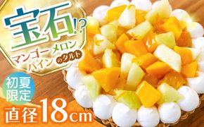 【2026年6月～発送】【マンゴー・メロン・パインを贅沢に】3種のトロピカルフルーツタルト / タルト ケーキ フルーツ マンゴー 18cm 南島原市 / アトリエジジ[SAA032]