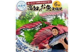 ＜6回定期便＞違いの分かる鮮魚店店長が送る 高知のお魚定期便！！ 