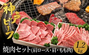 焼肉セット 神戸牛 牛肉 焼肉用 1.2kg【肩ロース 600g+肩・モモ 600g】(TYYS5) 焼き肉 セット 食べ比べ 牛 肉 霜降り 但馬牛 黒毛和牛 和牛 国産牛 焼肉 やきにく アウトドア キャンプ BBQ 太田牧場 太田牛 神戸ビーフ【但馬牛太田家】【好評につき2月以降順次発送】