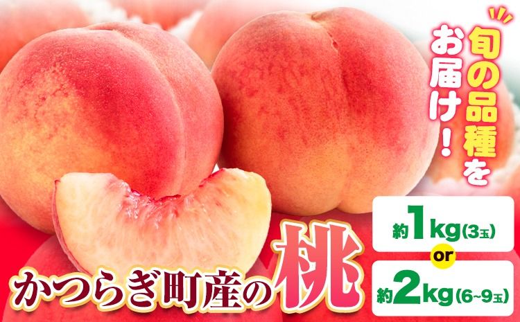 桃 かつらぎ町産 選べる 内容量 約 1kg 約 2kg 紀農人株式会社[2025年6月上旬-8月中旬頃出荷] 和歌山県 日高町 果物 フルーツ 桃 もも モモ 旬---wsh_ckgr4_a68_24_13000_1kg---