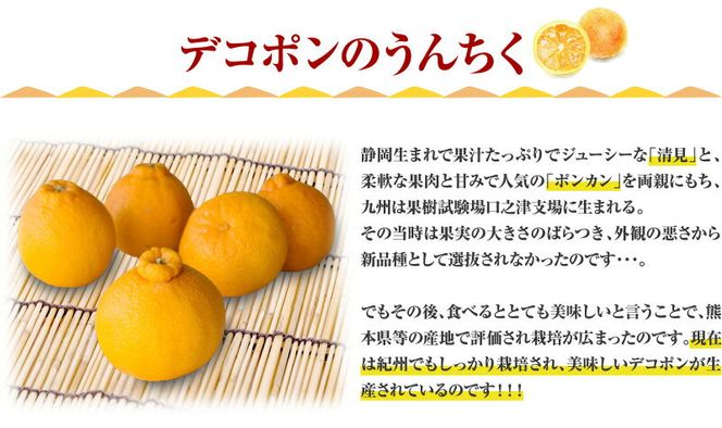 デコ不知火(デコポンと同品種) 約2.8kg サイズおまかせ ※2027年2月上旬～2027年4月上旬頃に順次発送予定(お届け日指定不可) / 不知火 しらぬい デコポン デコ不知火 果物 フルーツ 柑橘 蜜柑 【kztb421C】