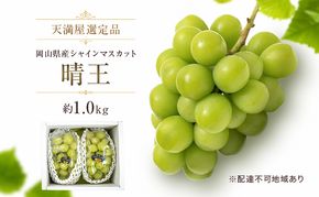 【天満屋選定品】岡山県産 シャインマスカット 晴王 約1.0kg（2026年発送）