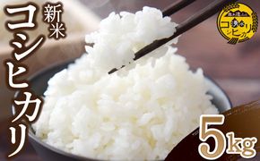 【令和7年産】湧水で育った小林産コシヒカリ 5kg（5kg×1袋 お米 米 こしひかり コシヒカリ 白米 精米 限定）