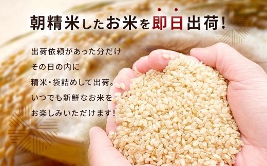 らくらくお米便 半俵コース （ 30kg ） 利用権 選べる夢つくし ・ 元気つくし お米 米 こめ コメ 白米 白飯 飯 ご飯 おにぎり ブランド米 ブランド 福岡県産 国産 定期 定期配送 定期便 精米 玄米