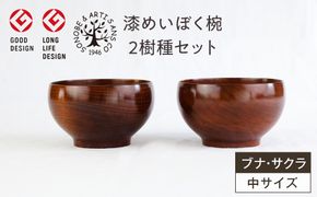漆めいぼく椀 中 ２樹種セット(ブナ・サクラ)【めいぼく椀11.5φ×6.8cm 手作り ふき漆塗り 国産天然木 おしゃれ プレゼント 記念 お祝い お椀 漆 2客セット ペア 夫婦 神奈川県 小田原市 】 142069_AR012