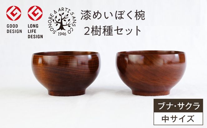 漆めいぼく椀 中 ２樹種セット(ブナ・サクラ)【めいぼく椀11.5φ×6.8cm 手作り ふき漆塗り 国産天然木 おしゃれ プレゼント 記念 お祝い お椀 漆 2客セット ペア 夫婦 神奈川県 小田原市 】 142069_AR012