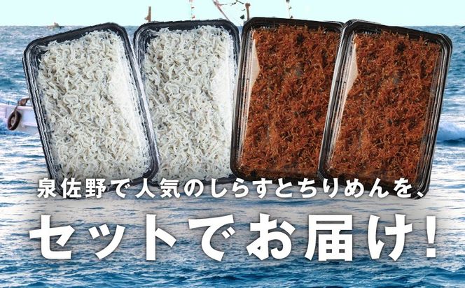 G3796 釜揚げしらす＆ちりめん山椒セット 計600g【小分け ちりめん シラス しらす sirasu 海鮮 セット 人気 おすすめ 産地直送】