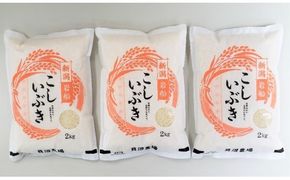【令和7年産米】 こしいぶき 白米6kg（2kg×3） 新潟県村上市岩船産　1067102