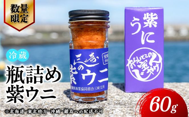 【数量限定】瓶詰め紫ウニ（60g・単品） 冷蔵 ※北海道・東北地方・沖縄・離島への配送不可     IKTJ023