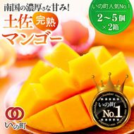 かおる・とろける！土佐マンゴー(2～5個)×２箱