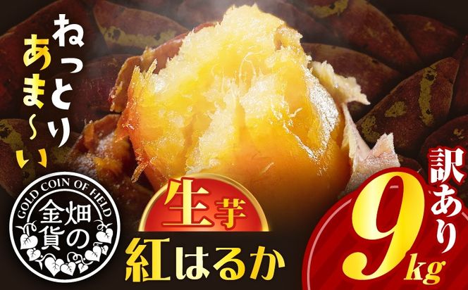 畑の金貨　生芋　訳あり紅はるか9kg　K181-007