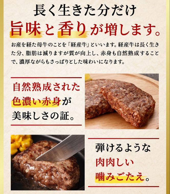 【累計5,000個突破！】但馬牛経産牛ハンバーグ（150g×10個）020AA09N.／個包装 牛肉 黒毛和牛 100% 国産 経産牛 和牛 赤身 味付け ほくぶ バーベキュー bbq キャンプ アウトドア 焼肉 小分け 簡単調理 セット 詰め合わせ 詰合せ 冷凍 お弁当 おかず