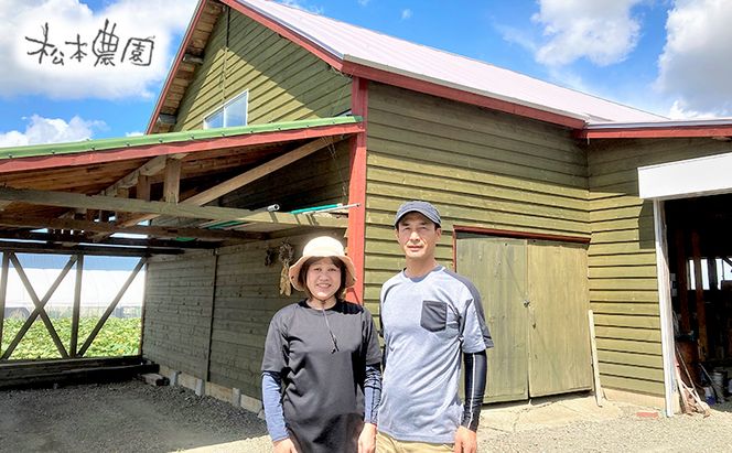 【2026年4～9月 計2回お届け】北海道 富良野産 アスパラガス 1kg×赤肉 メロン 大玉 1玉 贅沢 定期便 (松本農園) 野菜 新鮮 直送 朝採り アスパラガス 道産 北海道 ふらの 