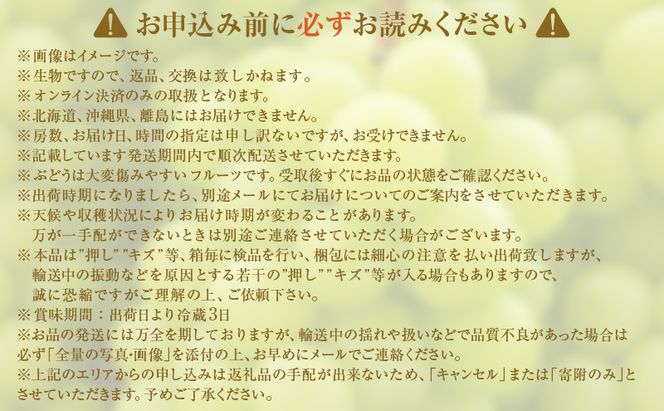 【2026年 先行予約】【訳あり品】 シャインマスカット 2房 合計約1kg 常温配送 ぶどう 葡萄 フルーツ 果物 岡山 岡山のぶどう 岡山の果物 食後 デザート 産地直送 大粒 皮ごと 種無し 