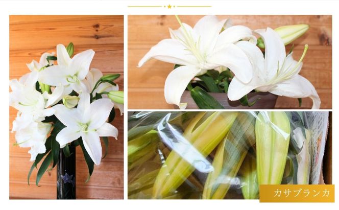 カサブランカ(規格外品)5本束 花 お花 規格外 花束 切り花 新潟県 十日町市