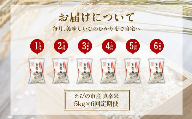 【定期便】限定品 えびの産 ヒノヒカリ 真幸米(まさきまい) 5kg×6ヶ月 合計30kg 米 定期便 ひのひかり お米 精米 白米 おにぎり お弁当 宮崎県産 九州産 送料無料 冷めても美味しい
