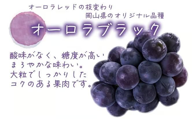 【2026年先行予約】 岡山 花笑み農園の『ニューピオーネ&オーロラブラック』1kg(2房) 2026年9月上旬～ 受付順に発送予【hana032-02】