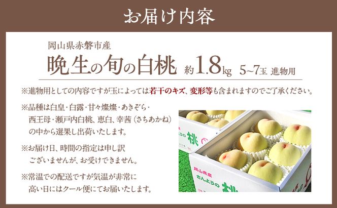 固めの 桃 2026年 先行予約 晩生の旬の 白桃 約1.8kg 5～7玉 進物用 もも モモ フルーツ 果物 岡山 赤磐市産 農マル園芸 あかいわ農園 家庭用 白皇 白露 甘々燦燦 あきぞら 西王母 瀬戸内白桃 