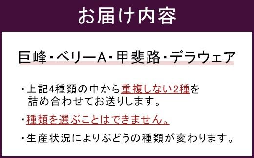 幸田町産ぶどう使用100％ジュース 2種詰め合わせ （720ml × 2本） ｜ 無添加 無糖 無加水 巨峰 ベリーA 甲斐路 デラウェア 送料無料