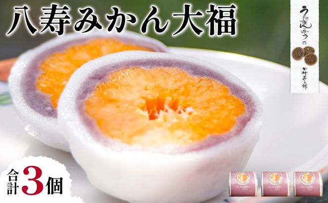 yQɕz݂啟3Zbg IKTK005