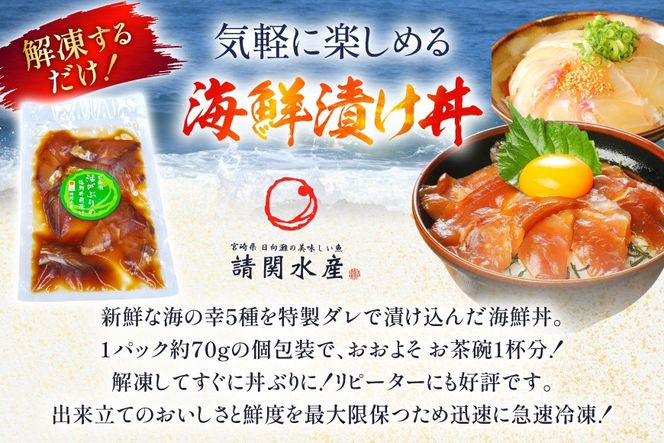 海鮮丼 漬丼 全5種 8食 セット [請関水産 宮崎県 日向市 452061675] ブリ マダイ マグロ サーモン カツオ 海鮮丼の具 海鮮丼セット 食べ比べ 冷凍 漬け丼 簡単 個包装 時短 お茶碗盛り