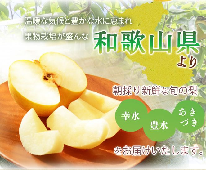 紀州和歌山産の梨 3玉 化粧箱入 ※2026年8月中旬頃〜2026年9月上旬頃に順次発送 ※日付指定不可 梨 なし ナシ 果物 くだもの フルーツ 甘い【uot787】