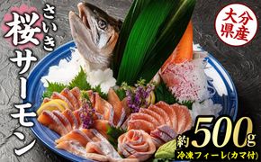 さいき 桜 サーモン フィーレ (1尾分・約500g) 期間限定 冷凍 サクラマス 刺身 ムニエル お味噌汁 お鍋 国産【GP013】【高瀬水産】